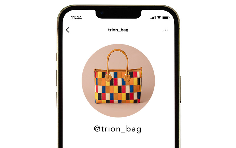 トライオンのインスタグラムアカウント