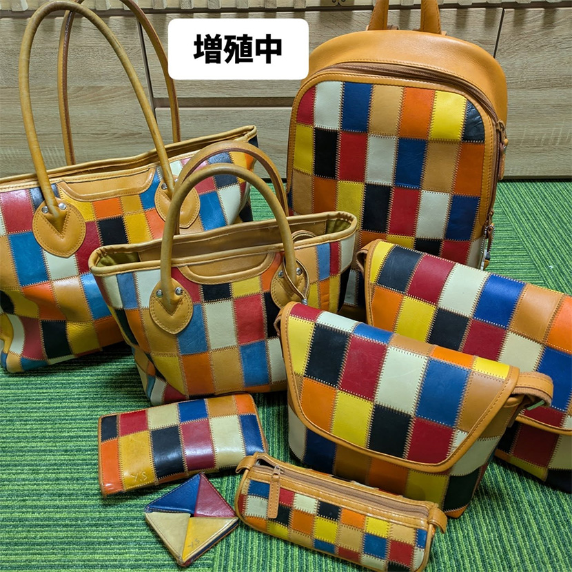 マイトライオン お客様のご愛用マルチカラー