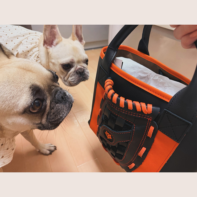 読売ジャイアンツトライオンコラボ レザートートバッグ 愛用品